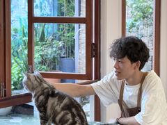 -有猫主题·治愈系猫咖(曾厝垵店)