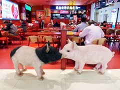 -猪角·闽南猪脚饭(上梅林店)