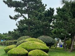 -日照灯塔风景区