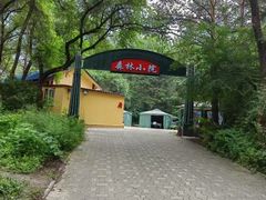 -黑龙江省森林植物园