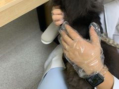-谐和贝康宠物医院24小时·宠保定点(急重症转诊中心)