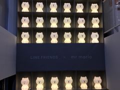 -line friends(明洞旗舰店)