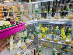 -三旗百汇商品城