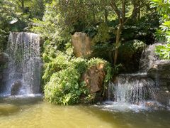 -广州市帽峰山景区