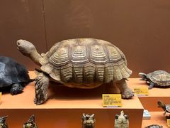 -天津自然博物馆
