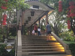 -荔湾湖公园