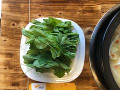 豌豆尖-草原三宝汤锅