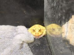 -大连圣亚海洋世界