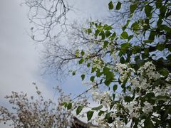 -北京鲁迅博物馆(北京新文化运动纪念馆鲁博馆区)