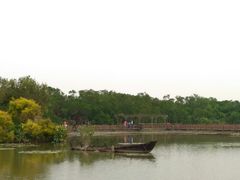 -大湾区中央湿地公园