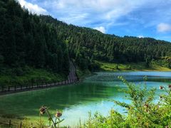 -武陵山森林公园