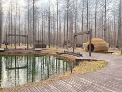 -黄海国家森林公园