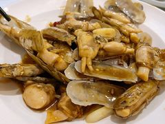 炒蛏子-温岭人家(红花北路店)