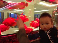 iphone_upload_pic-鲤鱼门渔人码头自助餐厅
