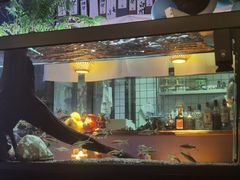 -阿泽料理