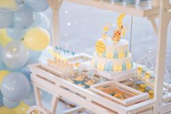 -圣塔拉 宝宝宴生日Party气球派对一站式高端策划