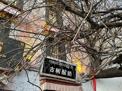 -古树酸奶(八廓南街店)