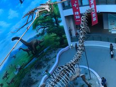 -辽宁古生物博物馆