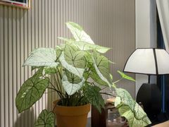 -LouisTime路易时光(蕴川路店)