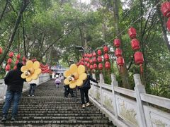 -老君山