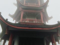-蔡伦竹海
