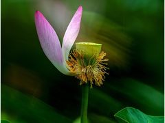 -北京稻香村(甘家口店)