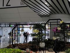 -广州白云国际机场-T2航站楼
