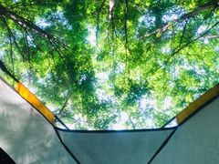 -桤木河湿地公园