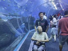 -成都浩海立方海洋公园