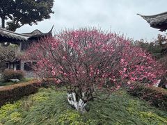 -凤城河风景区