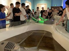 -白鹤梁水下博物馆