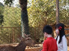 -佛冈森波拉度假区