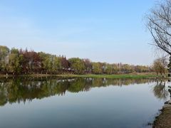 -洋湖国家湿地公园