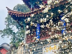 -昆明市金殿名胜区
