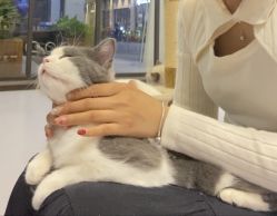 -Girl's Club·Nail·Beauty