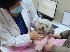 -北京观赏动物医院·24小时大型综合·猫专科·异宠专科