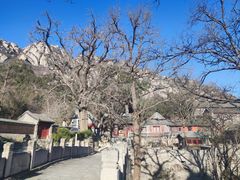 -北京凤凰岭