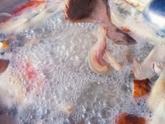-老石黑山羊毛驴肉火锅(金凯广场店)