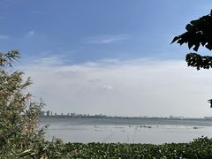 -莲花岛景区
