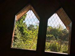 -墨尔本皇家植物园