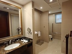 -圣爵菲斯大酒店(长沙世界之窗店)