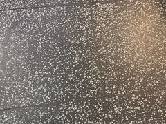 -洪氏嗨捞·猪肚鸡火锅(阳光天地店)