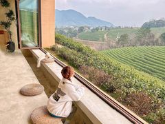 -帐篷客·溪龙茶谷度假酒店