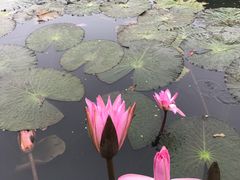 -白沙门生态公园