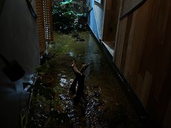 -邈墨茶馆(凤起路店)