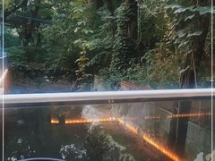 -丽泽山庄·生态怀柔菜·虹鳟鱼(红螺寺店)