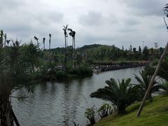 -枫香湖儿童公园