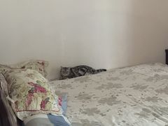 -瑞派福兴宠物医院犬猫全科·骨科·中西医结合(河东店)