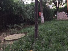 -成都市第一人民医院(南区)