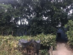 -顺风山庄(水濂山店)